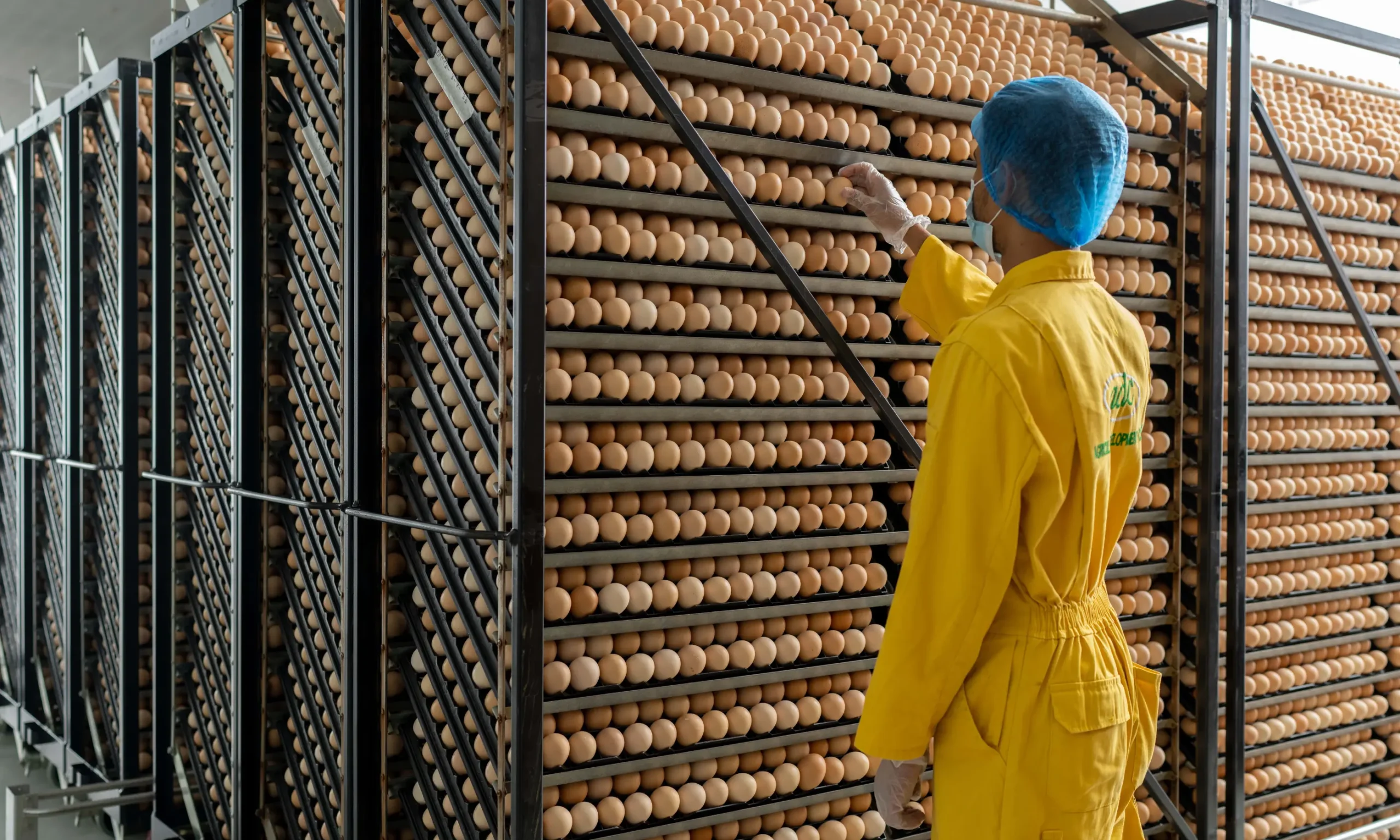 A Food Company Achieves Efficient Field Merchandising Operations with Salesflo Engage