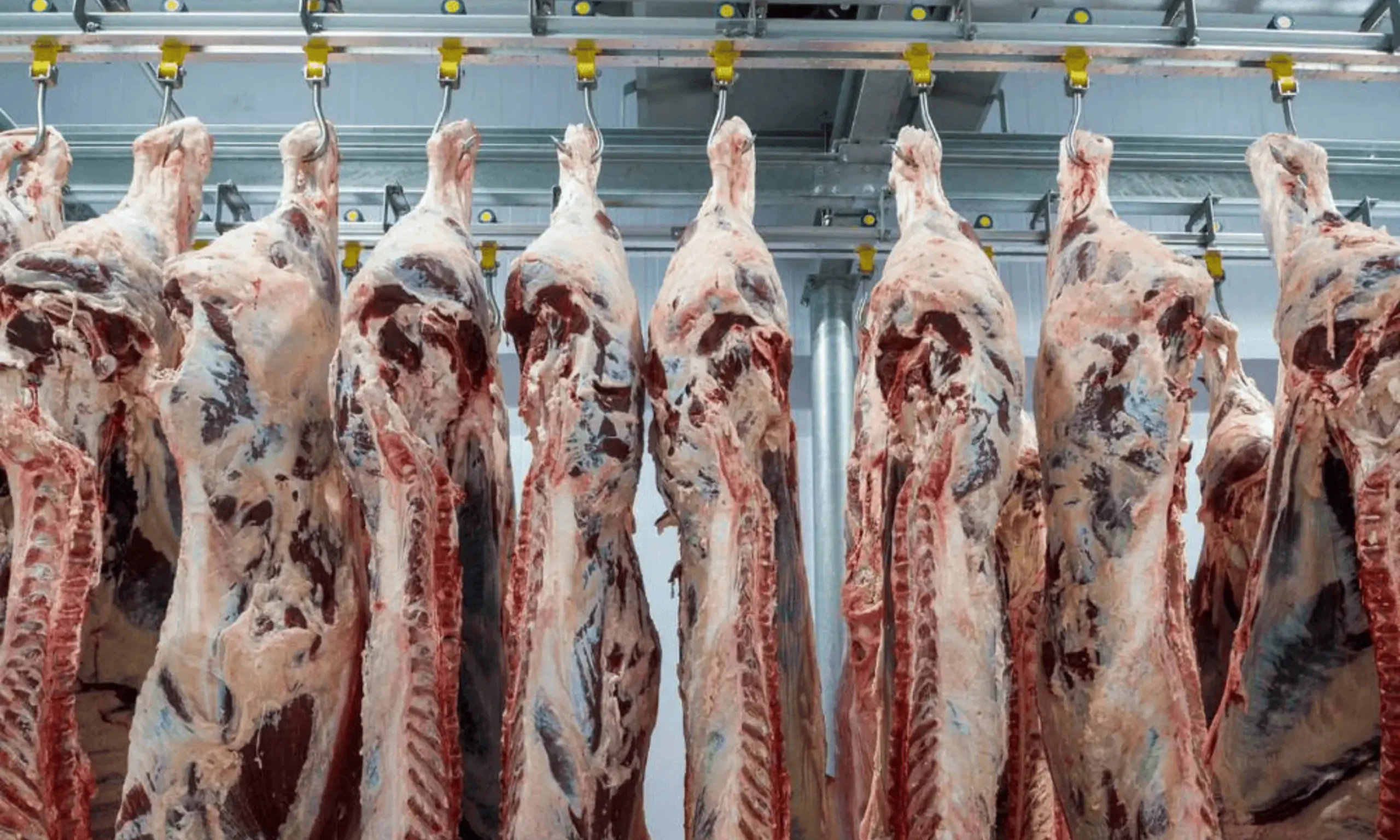How AgentFlo, an AI Business Assistant Transformed Operations for a Frozen Meat Producer